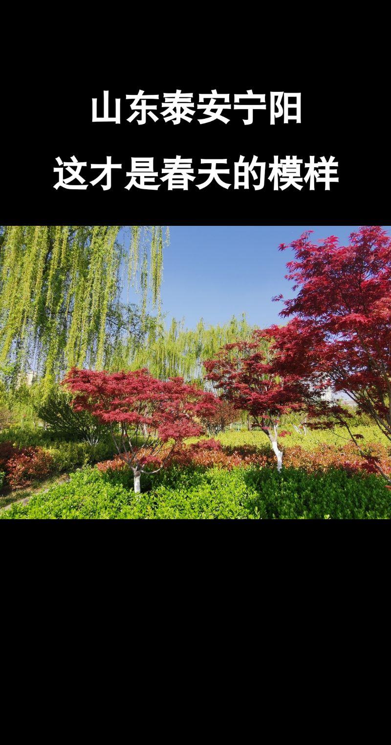 一场倒春寒直接将温度干道零下12度，感觉记忆里头一次，期盼春暖花开。