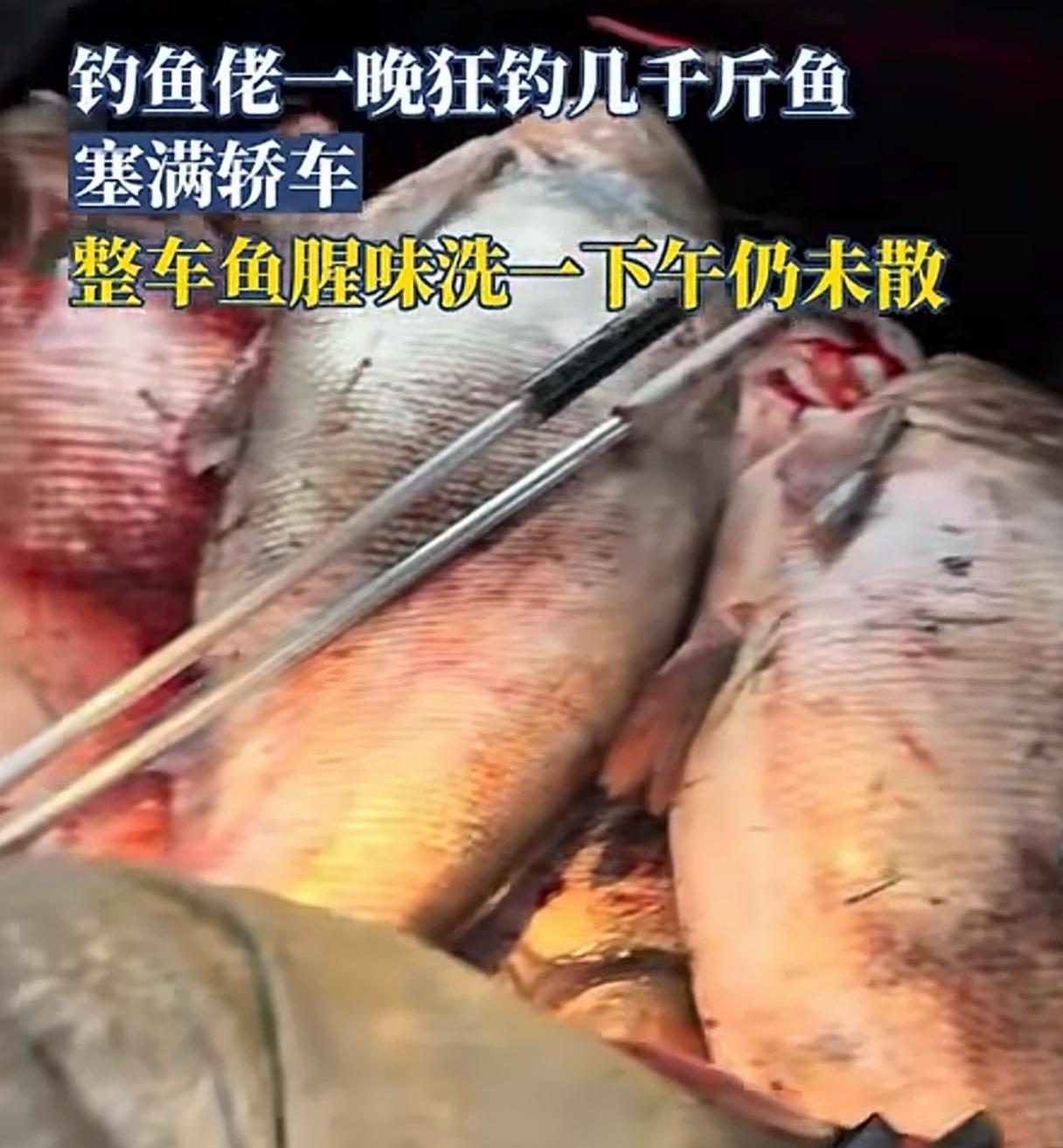不相信一晚能钓几千斤鱼，再说了钓的鱼会那么血腥吗？正常钓的鱼会流那么多血吗？鱼应