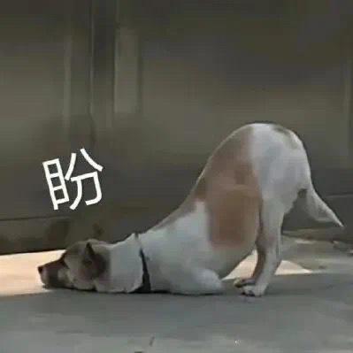 晚上好～分享一个你喜欢的英雄联盟表情包吧～大电竞分享 ​​​