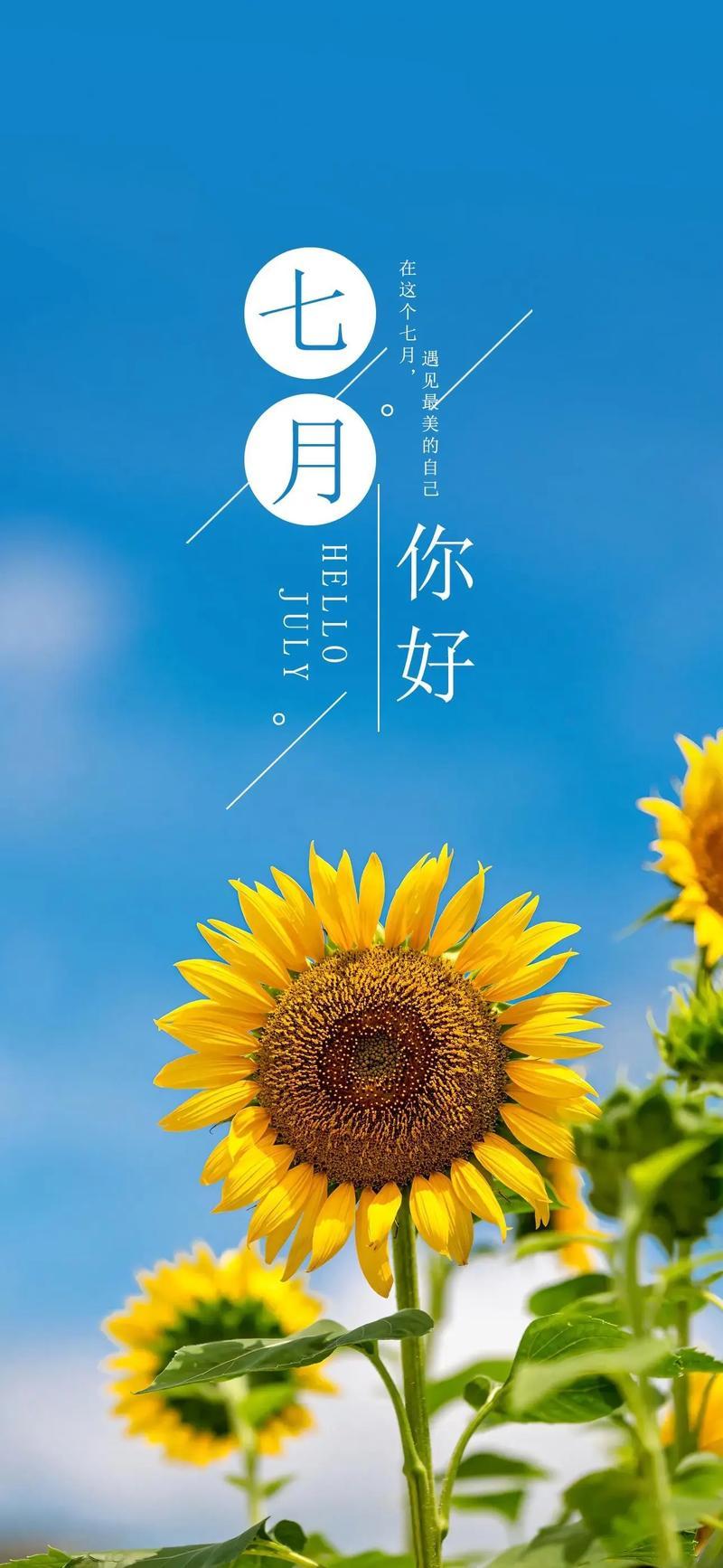 七月你好
8/13/七/初一/阴/早安
老话说：六月有雨吃饱饭，七月下雨算扯淡。