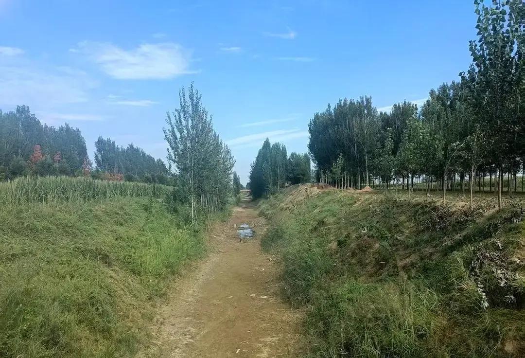 47岁，干了10年副书记，好不容易熬到个正科。
结果发现，老天爷给你开的不是一扇