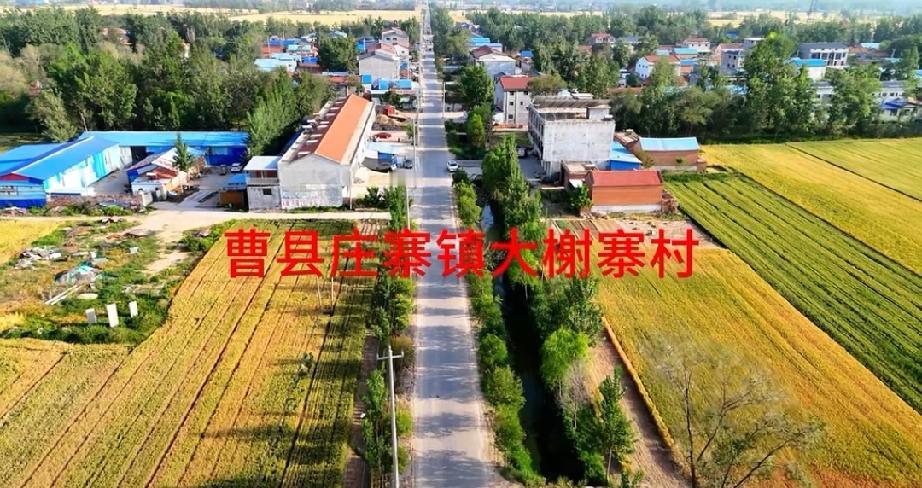 曹县庄寨镇大谢寨村航拍
明永乐间，金陵（今南京）谢氏，明成祖时任御前指挥使，郡马