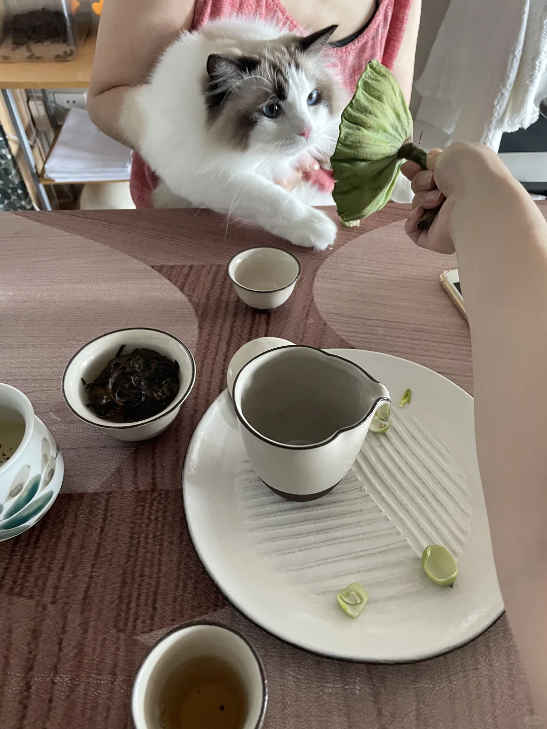 这是什么东西 交给我闻闻🤌🏻