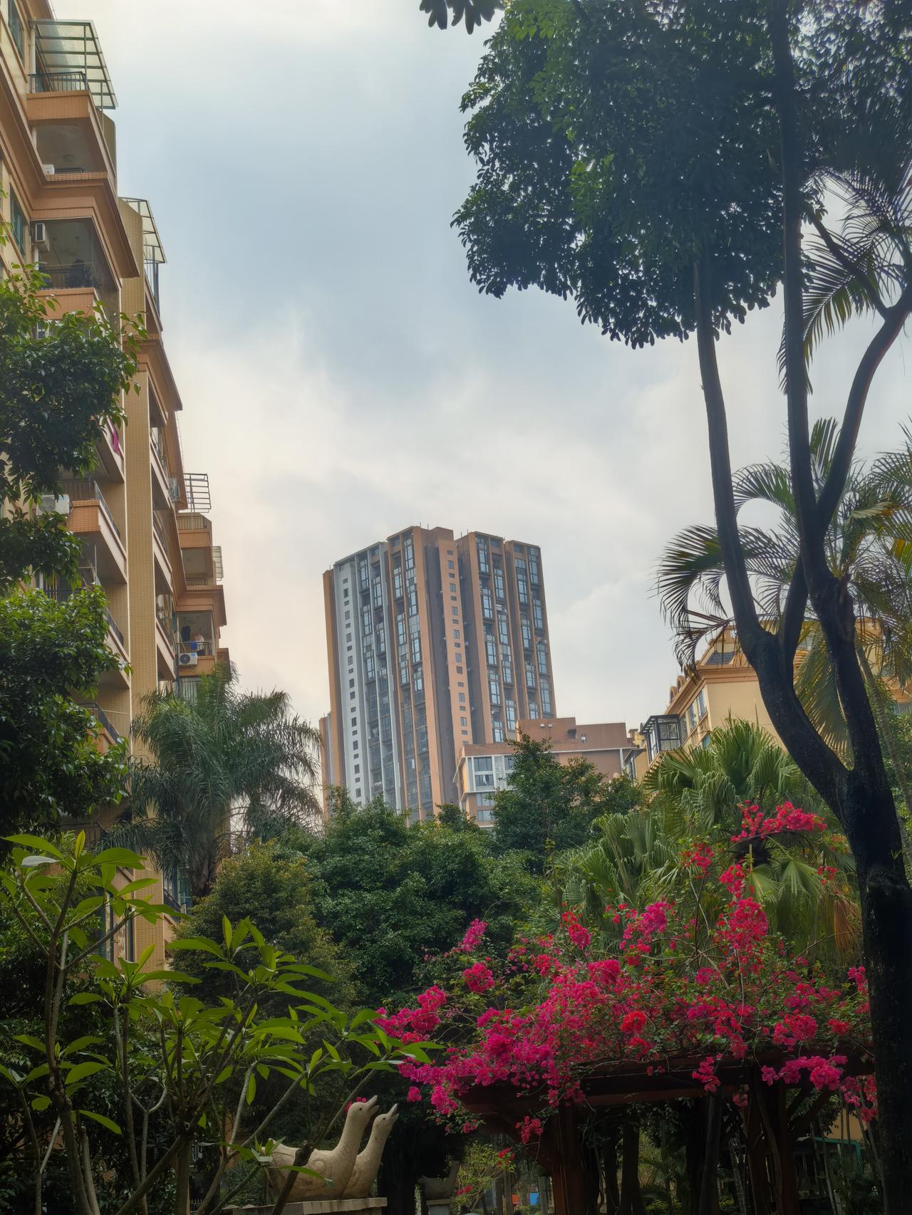 今年春天最想实现的心愿活好每一天