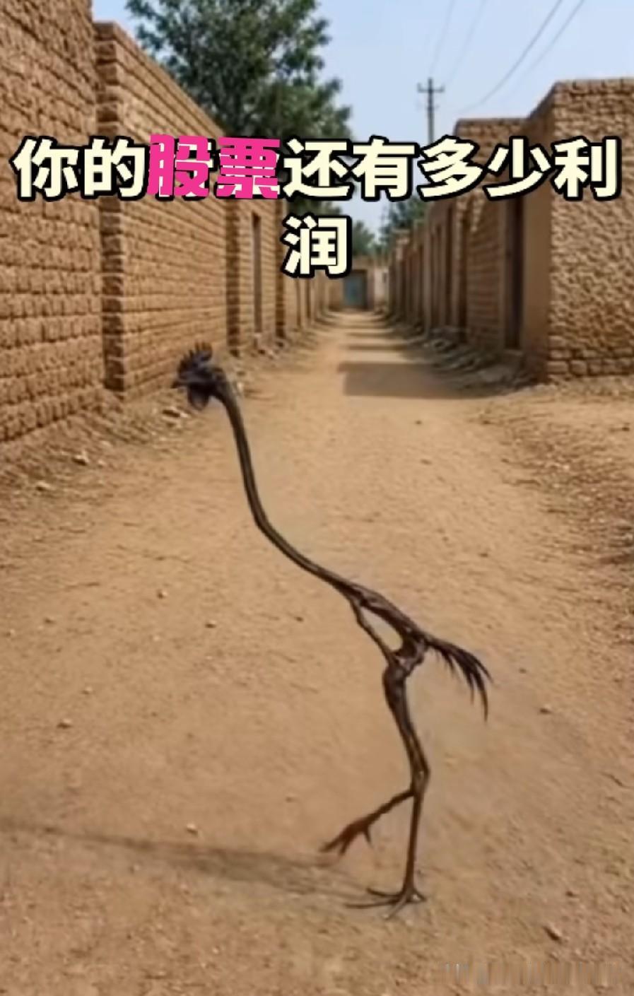 【自从股票亏了20万后……】

现在天天吃公司食堂，但公司只有早餐与午餐，于是中