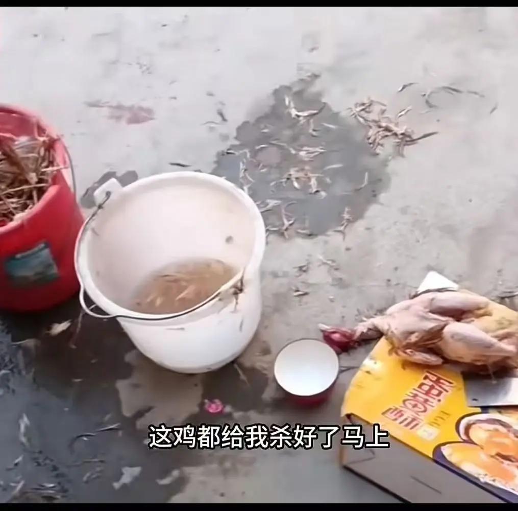 孩子杀鸡下跪，别让“童年恐怖主义”杀死我们的孩子

一场小小的家庭风波，却在网络