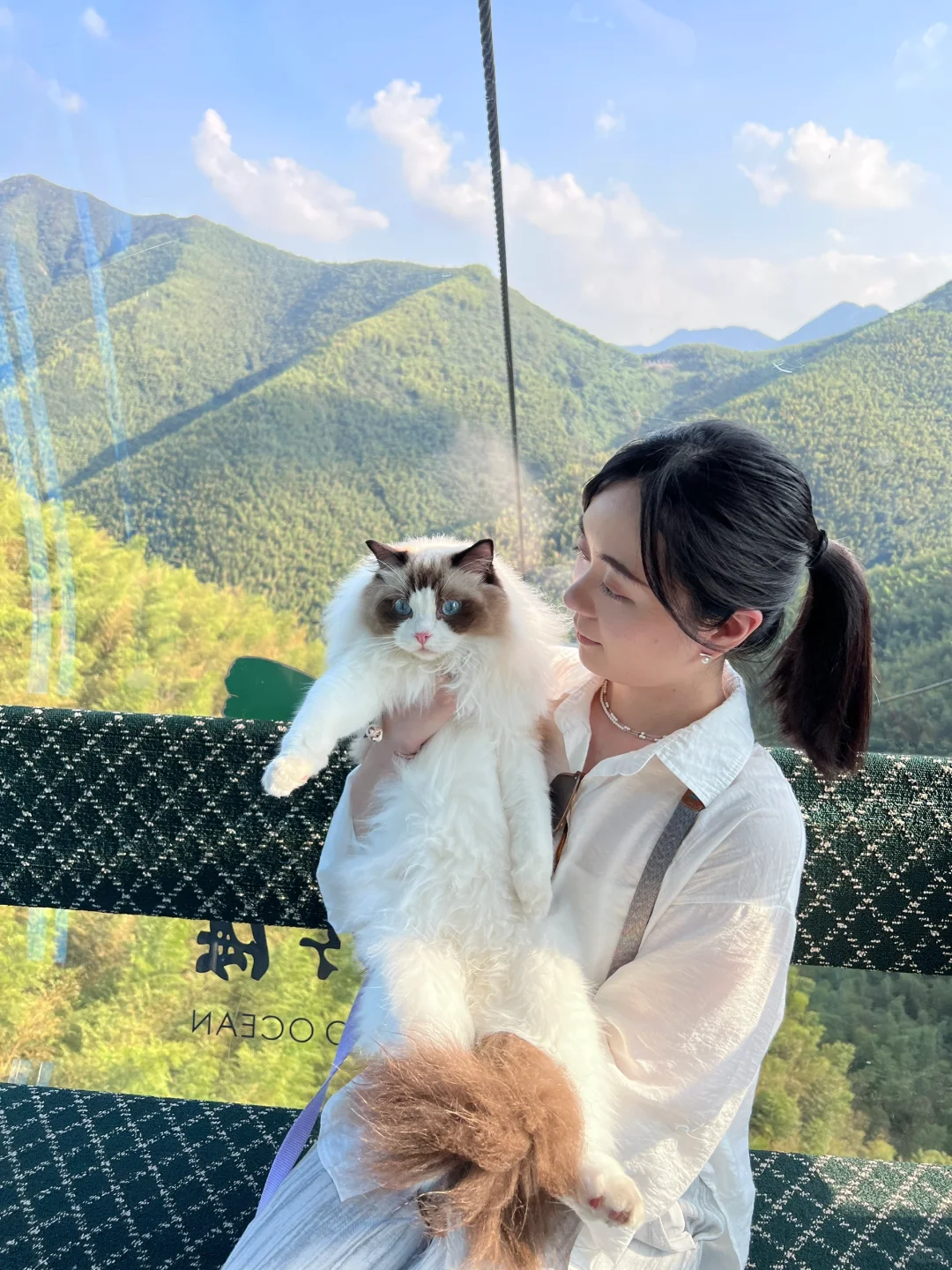 上海周边游｜养宠人一定不能错过的南山竹海