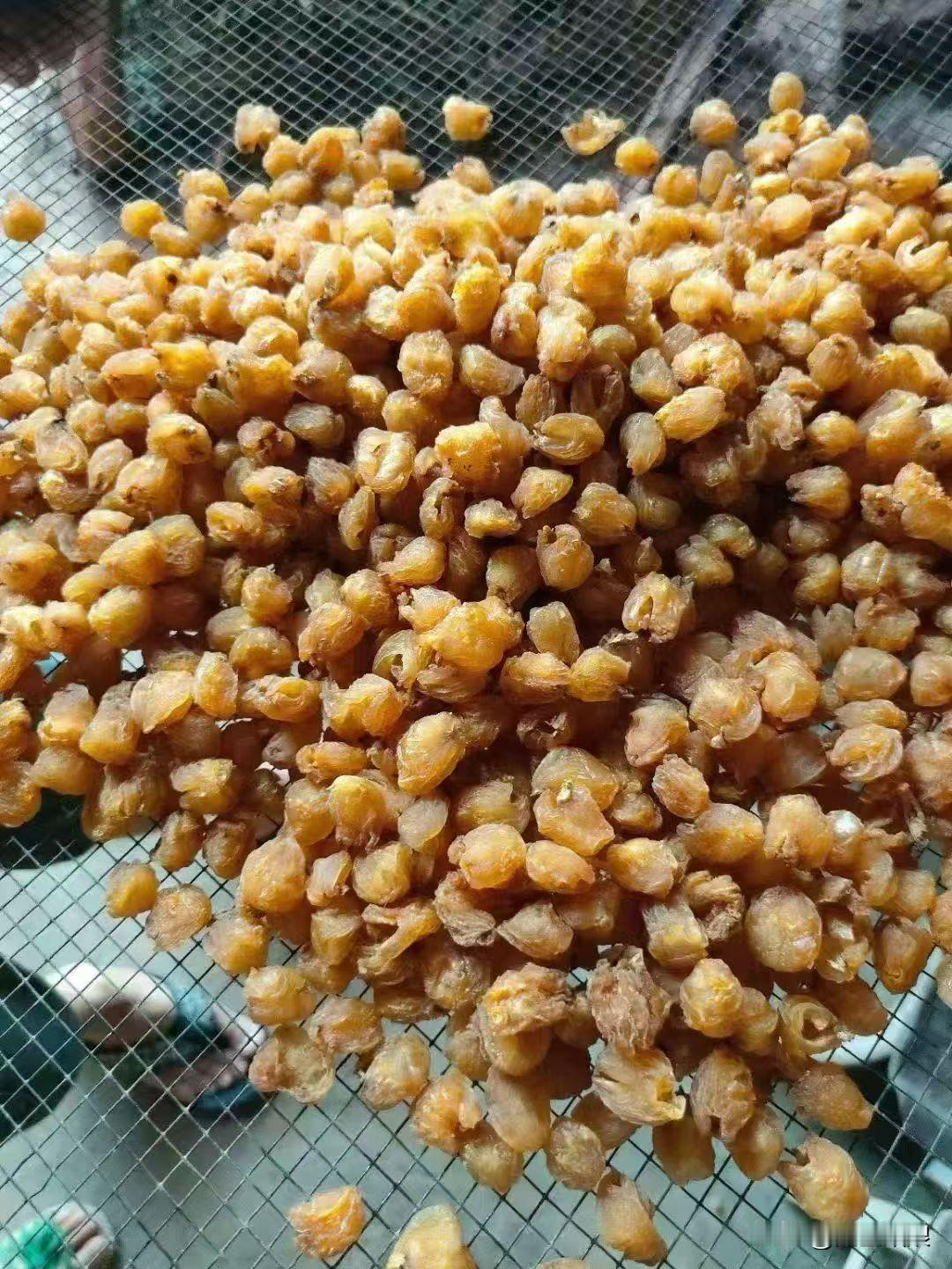 我之前了解到晒桂圆干可有不少讲究。挑果要选七分熟、表皮浅黄褐色带红晕的。清洗时用