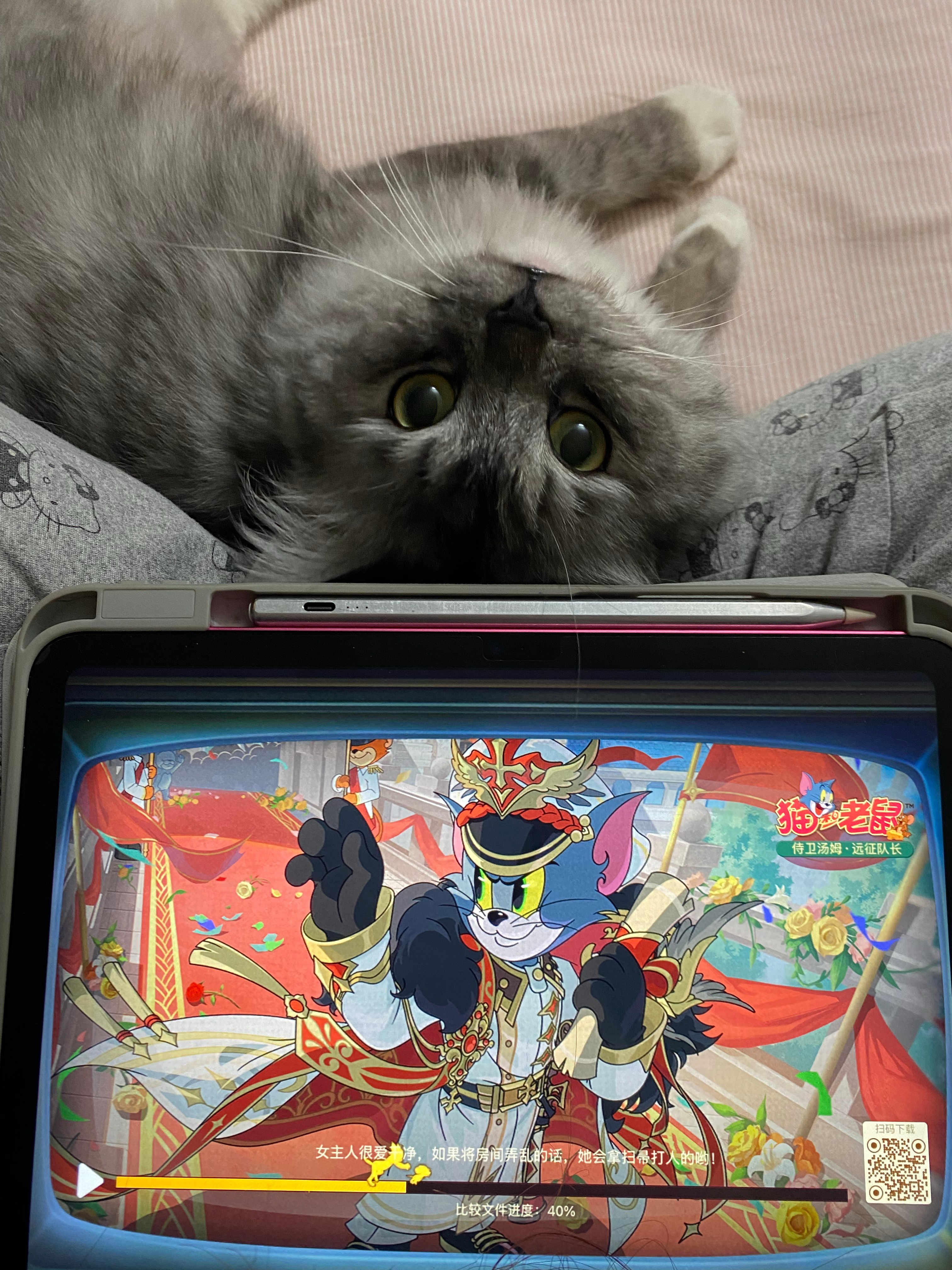 不听话我就打猫和老鼠打死你 但好像没有长毛猫啊 