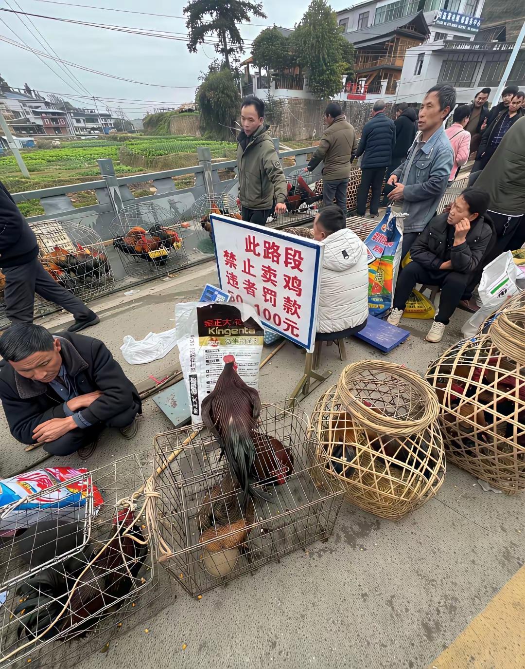 人们常说，跟优秀的人在一起，你会变得更优秀。可是，我发现我们这些牛马，天天追着老