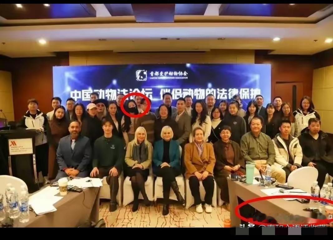 NGO：我们除了人事不会干，
坏事最在行！