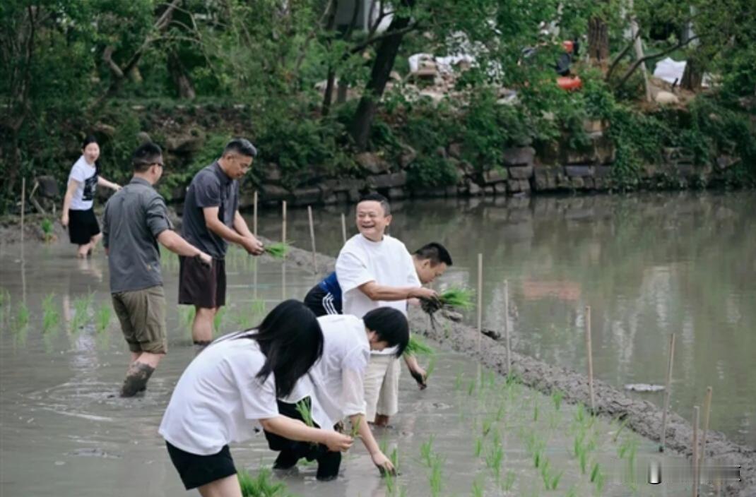 马云赤脚插秧，哈佛路上没保镖，他到底在忙啥？
6月23号他在杭州田里弯腰插秧，泥