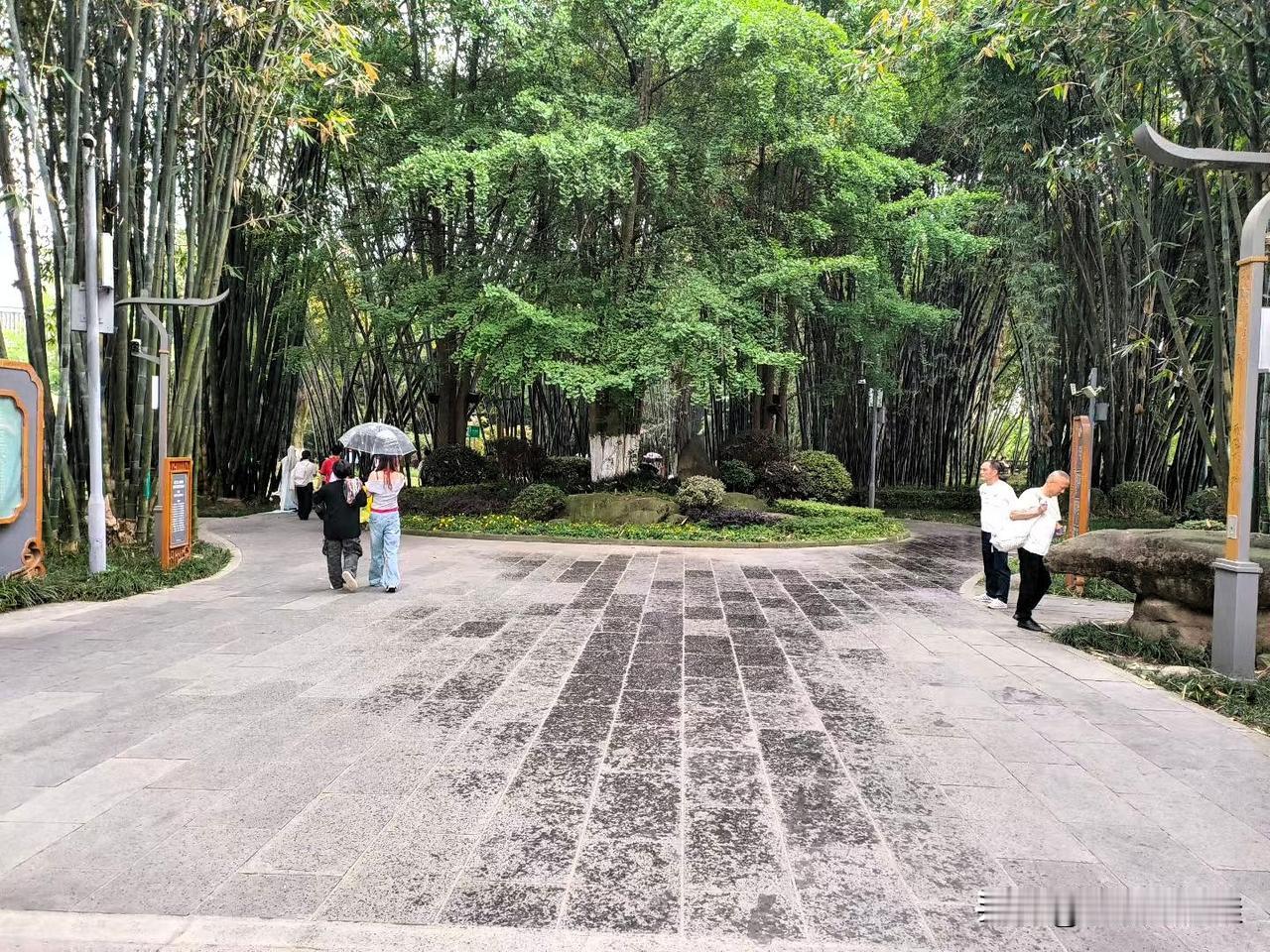 ​​以后就不能经常去望江公园，青羊宫喝茶了！一旦有时间还是会经常来！

喜欢望江