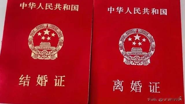 “你是不是跟我一样现在才弄清”！结婚证离婚证属于同色系，居然还有“无证离婚”？相