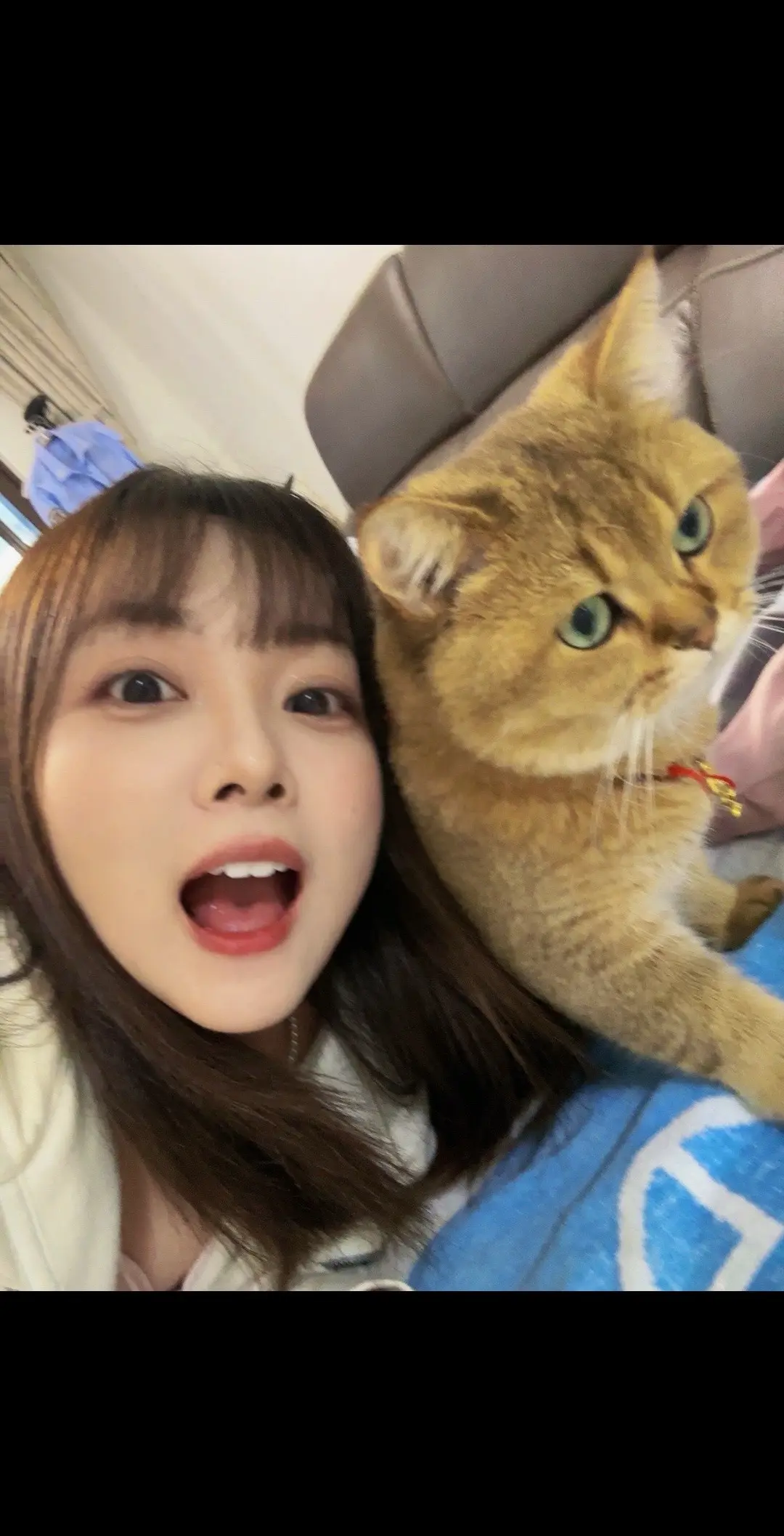 我和我的猫 我勒个豆