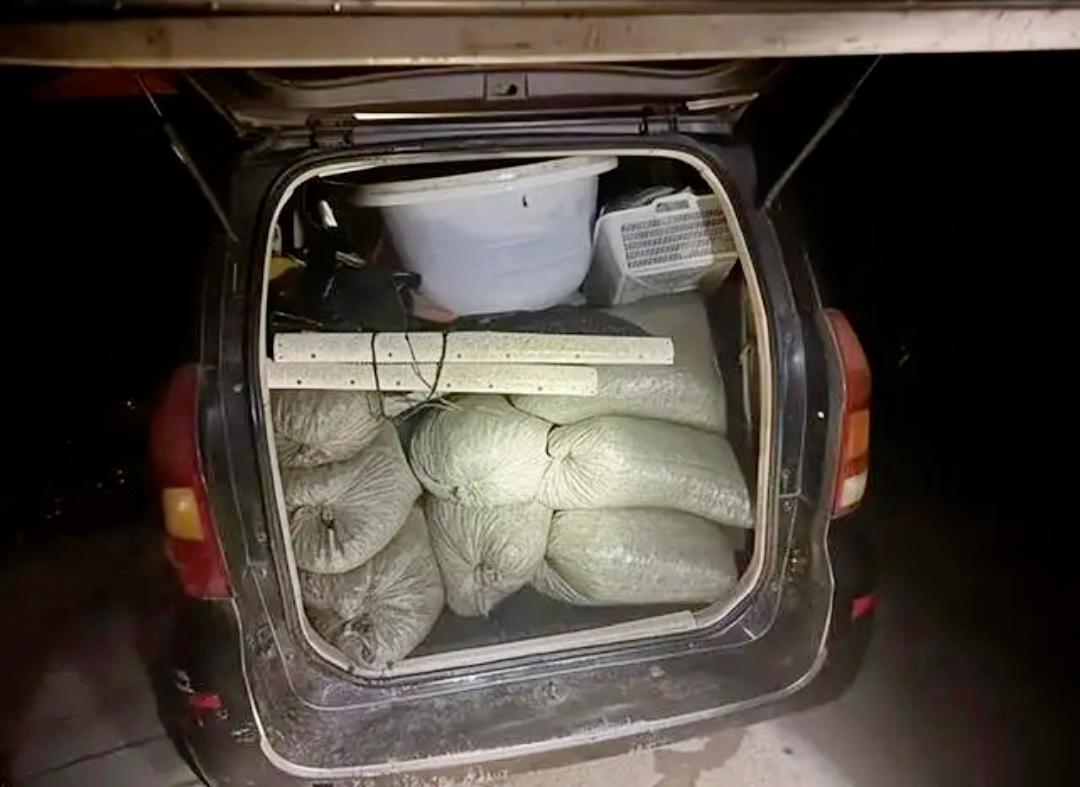 离谱！一晚摸34袋螺蛳超1吨，俩男子直接被刑拘[笑哭]
 
不少人觉得下河摸螺蛳
