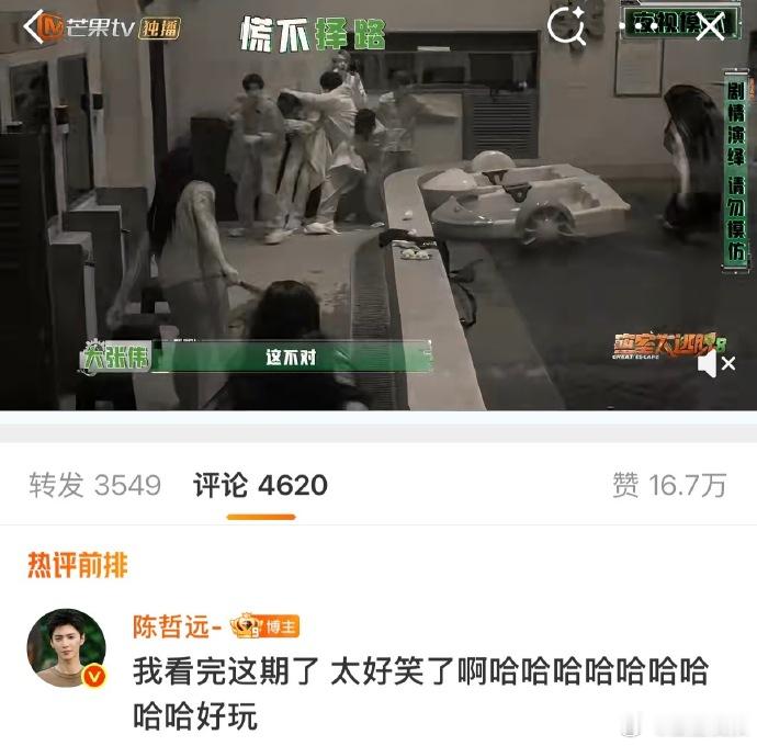 陈哲远说密逃这期太好笑了陈哲远说许凯好笑笑不活了 