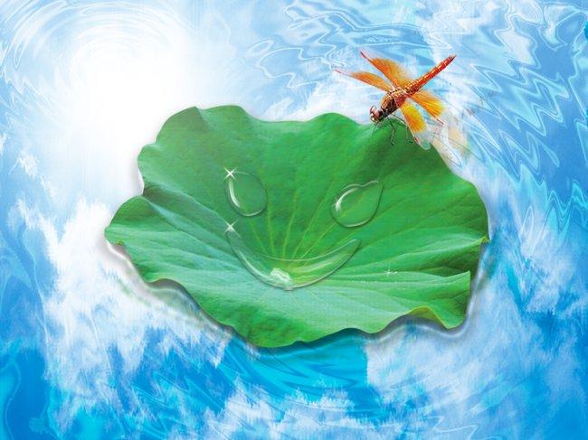 闫 学晶从农村中来，本应带着质朴与感恩，但她再也不愿回到那个充满烟火气的氛围里了