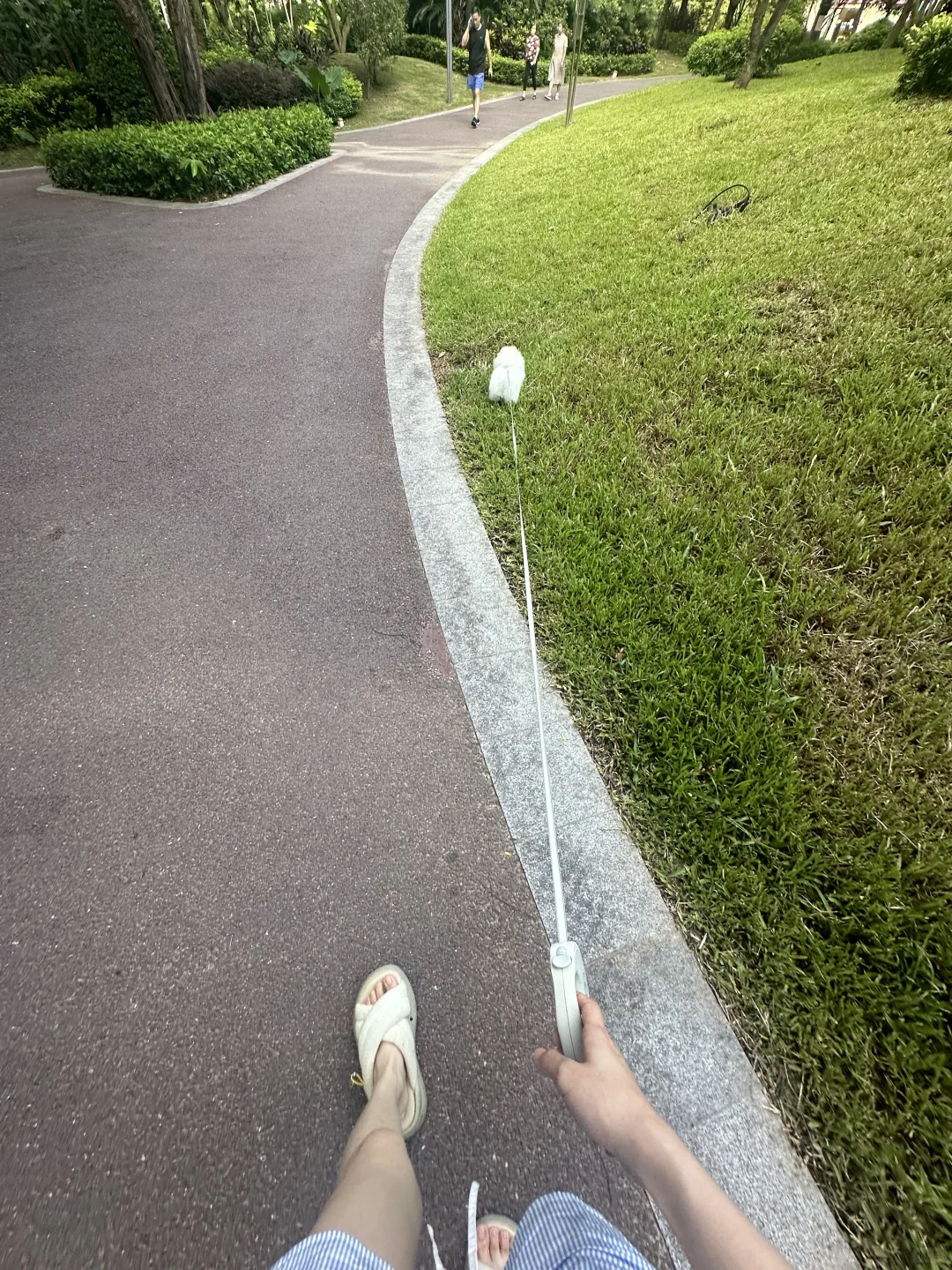 第一视角遛兔子