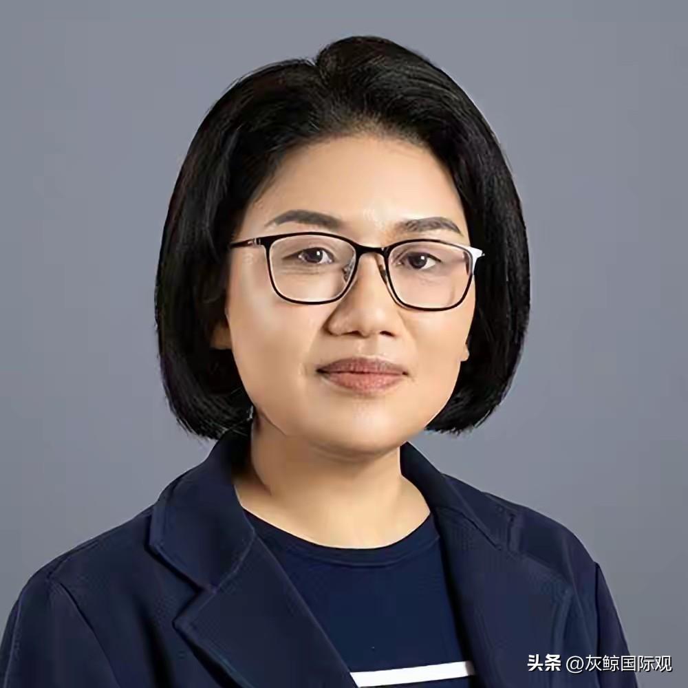 华为B计划幕后人何庭波，研究芯片22年。任正非给她4亿美元和2万人，让她安心搞研