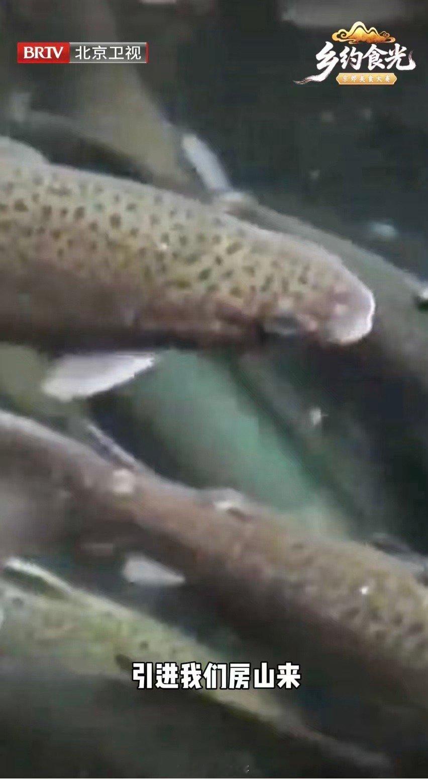 第一次见挑衅式文旅宣传 真是活久见！房山文旅不走寻常路，挑衅式宣传闪亮登场。先夸