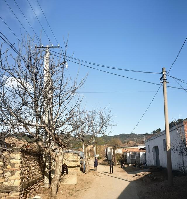 帮老弟卖猪肉，11块一斤有人要，立马杀。之前他嫌价低想等五一，我说多养还得费饲料