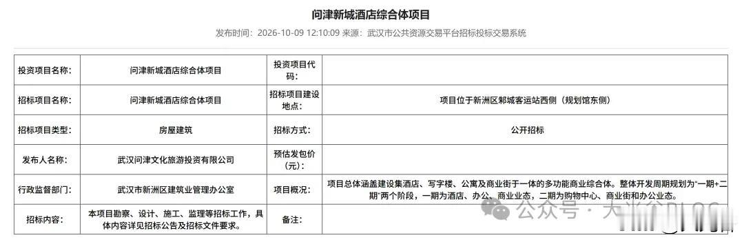 新洲问津新城酒店综合体启动公开招标！约 5.3 万㎡地块，分两期打造多功能商业综