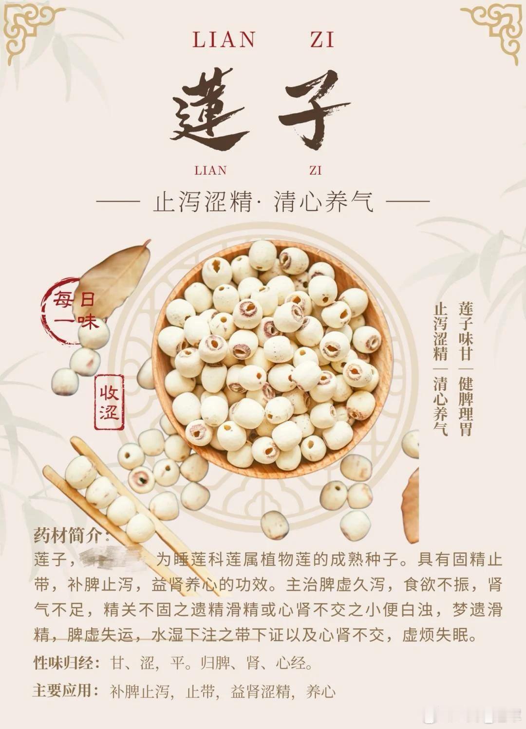 脾之果·莲子｜生吃补肾，熟吃补脾主标题：脾之果莲子｜生吃补肾，熟吃补脾，每天嚼几