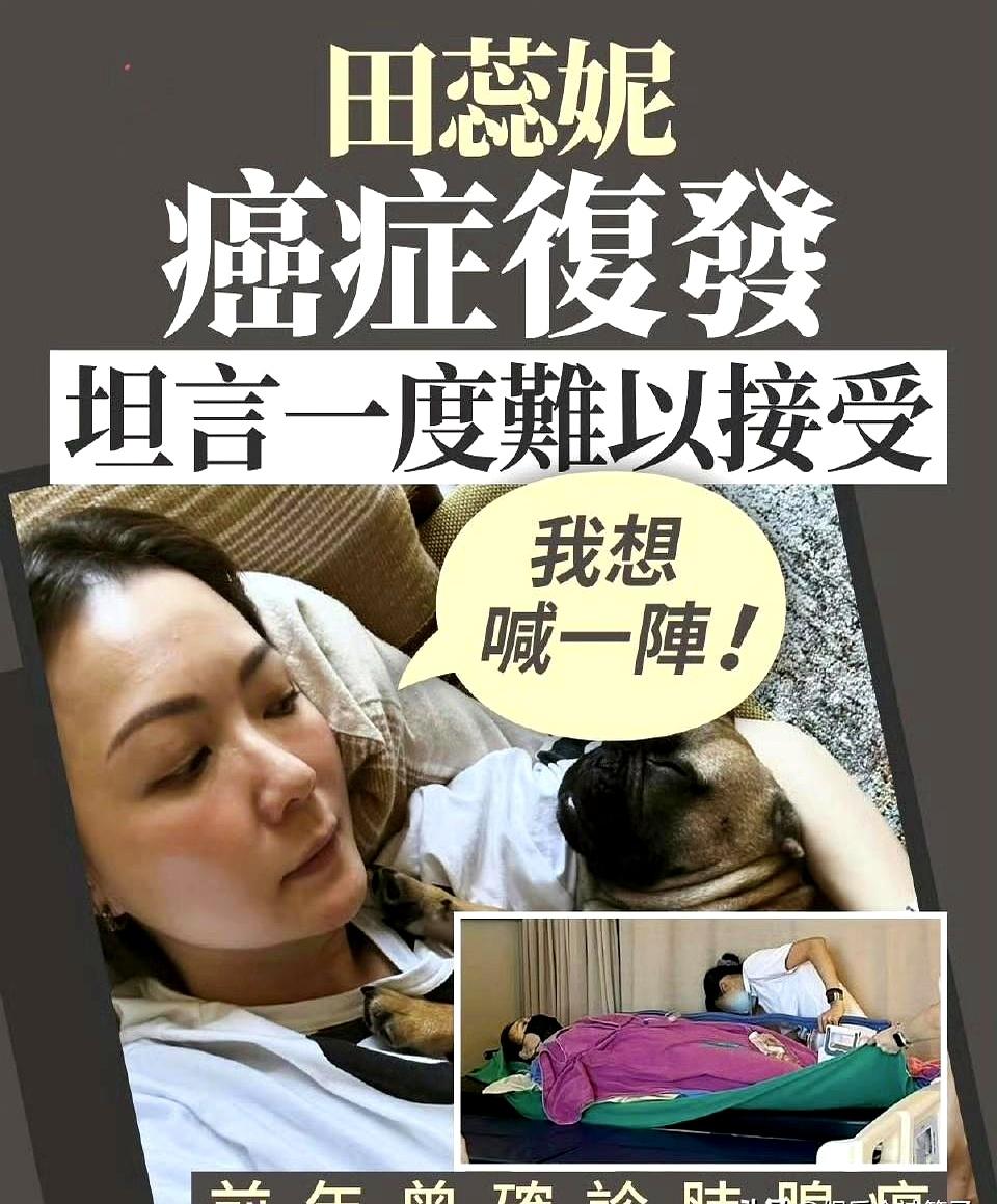 谁能想到，一年半前还欢天喜地宣布康复，如今竟又传来坏消息？
48岁女星田蕊妮癌症