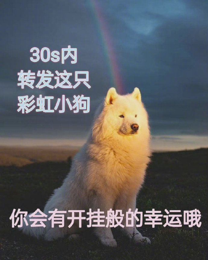 转发彩虹小狗接接好运🙏 