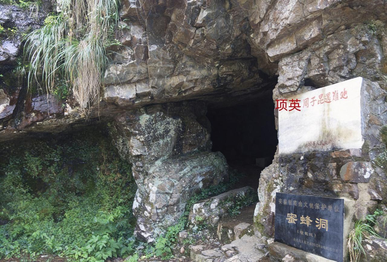这个看起并不起眼的山洞曾是项英与周子昆遇难的蜜蜂洞。1941年皖南事变，项英的副