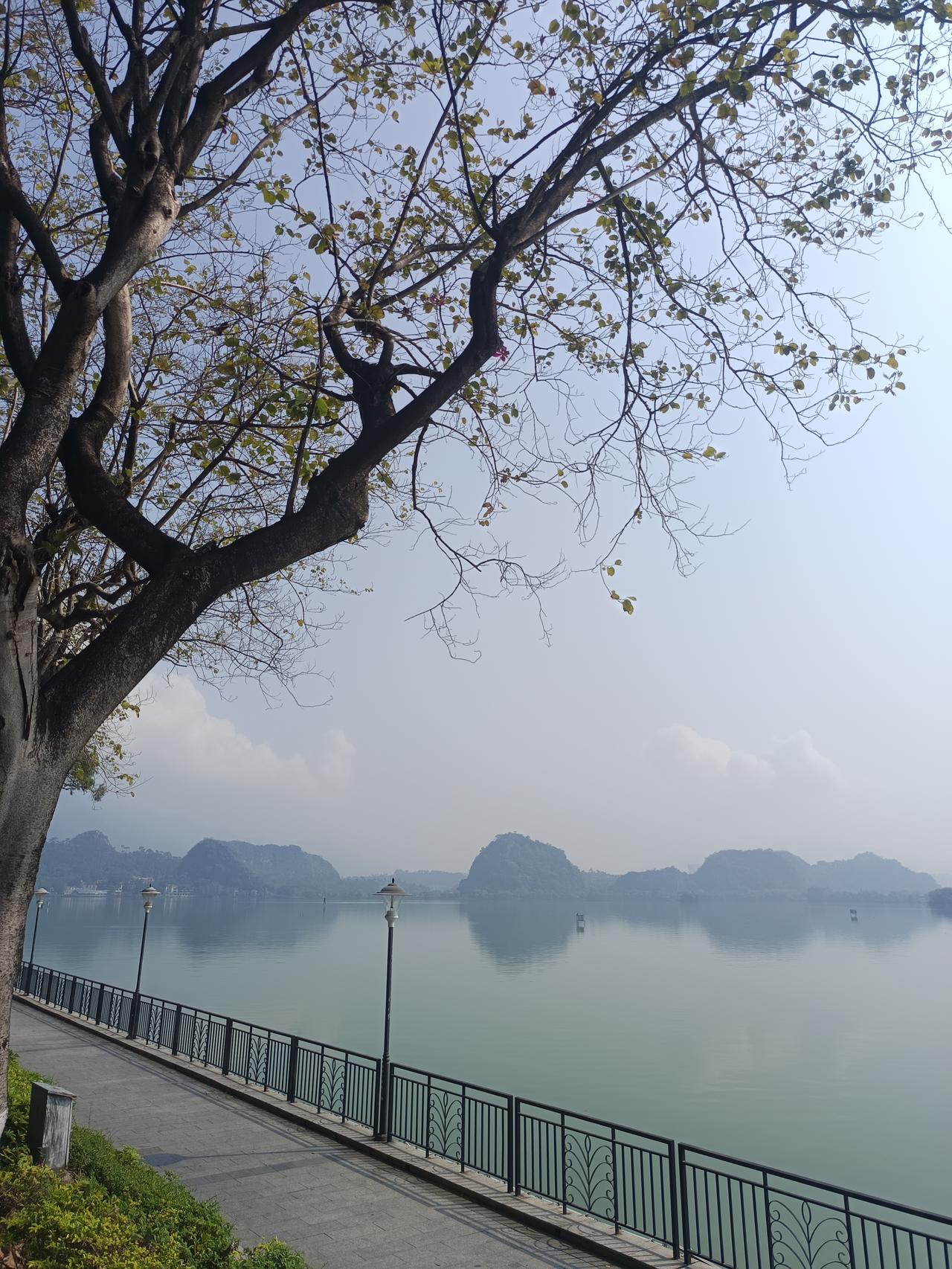 你发现了吗？
肇庆星湖，虽然颜值比不上那些大超5a风景区，但她的风景真的跟一般人