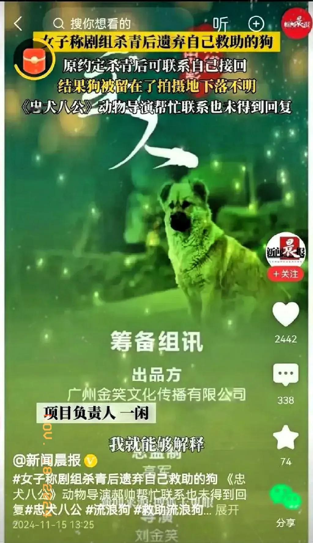 令人震惊，据传某剧组在拍摄完毕后，竟将借用的狗狗遗弃，导致其主人心急如焚，四处寻