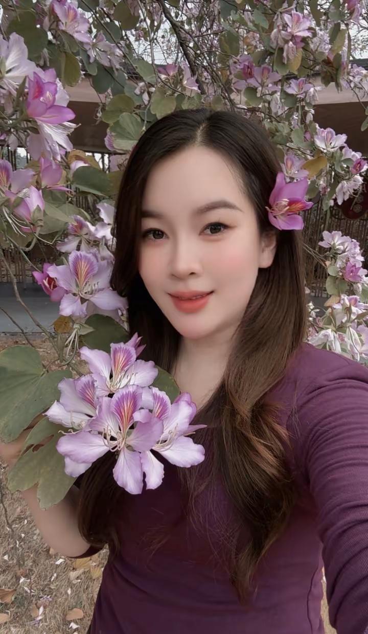 春天的浪漫是宫粉紫荆花🌸