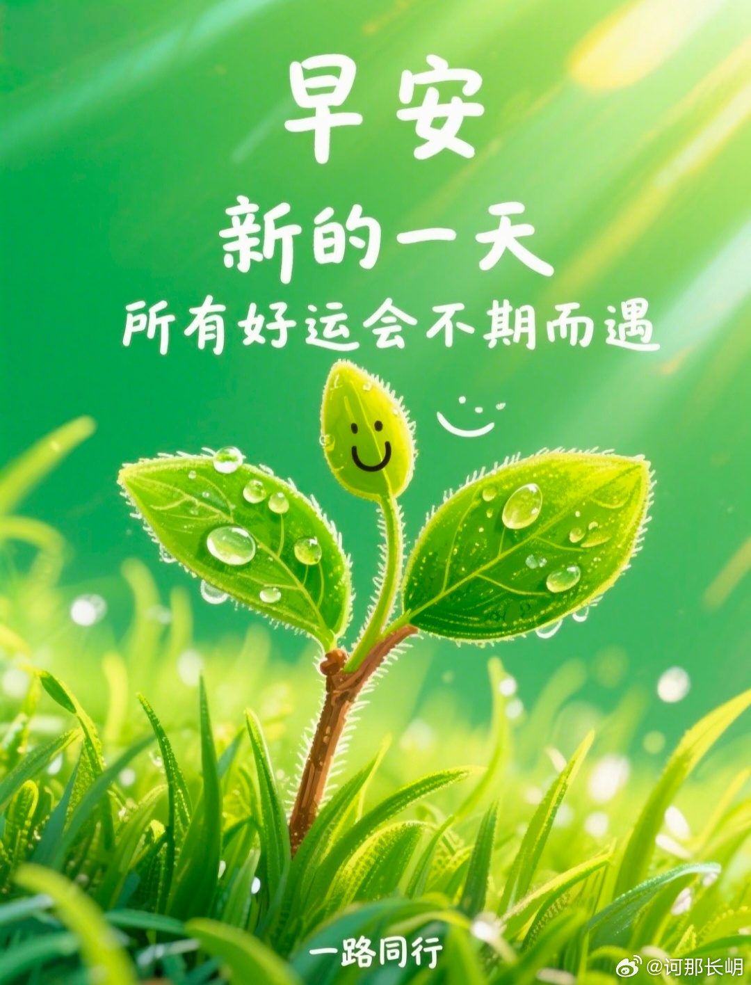 🌱 早安呀～新的一天，像这株带着露珠的小芽一样，充满了生机与希望。愿你带着这份