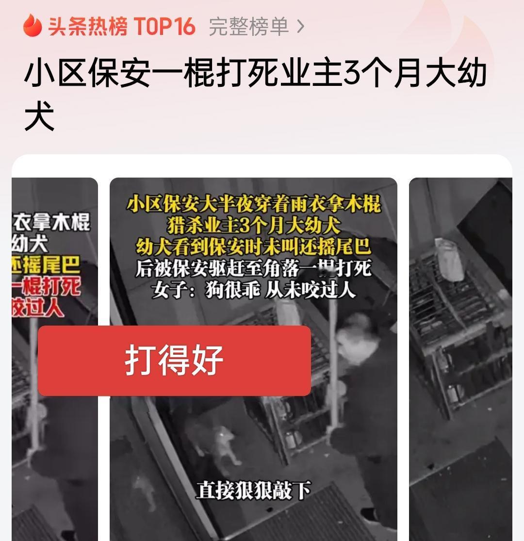 狗不拴绳就是野狗，就有安全隐患，保安果断出手消除了安全隐患，保障了业主安全，值得