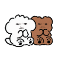 动态龙图表情包 ​​​