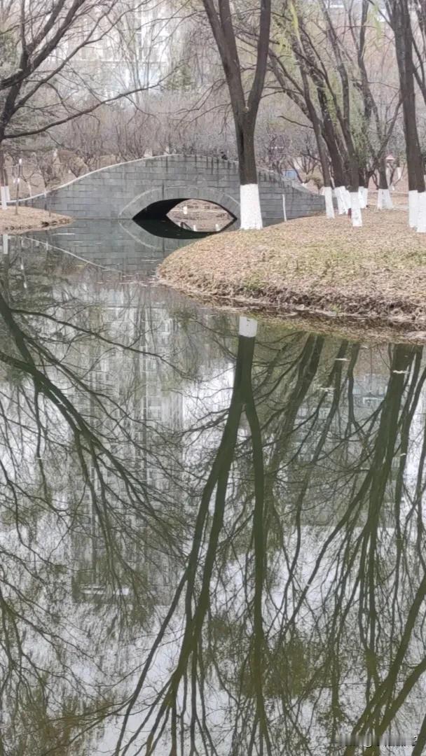 [彩虹]大地回春，万物复苏，杨柳吐绿，
​[比心]这天儿，没谁了！
分享一张你最