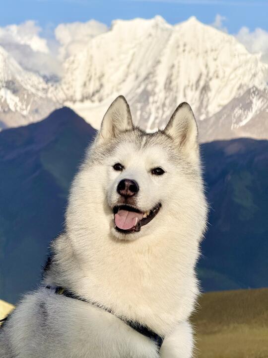 姨姨们！我看到贡嘎雪山啦！