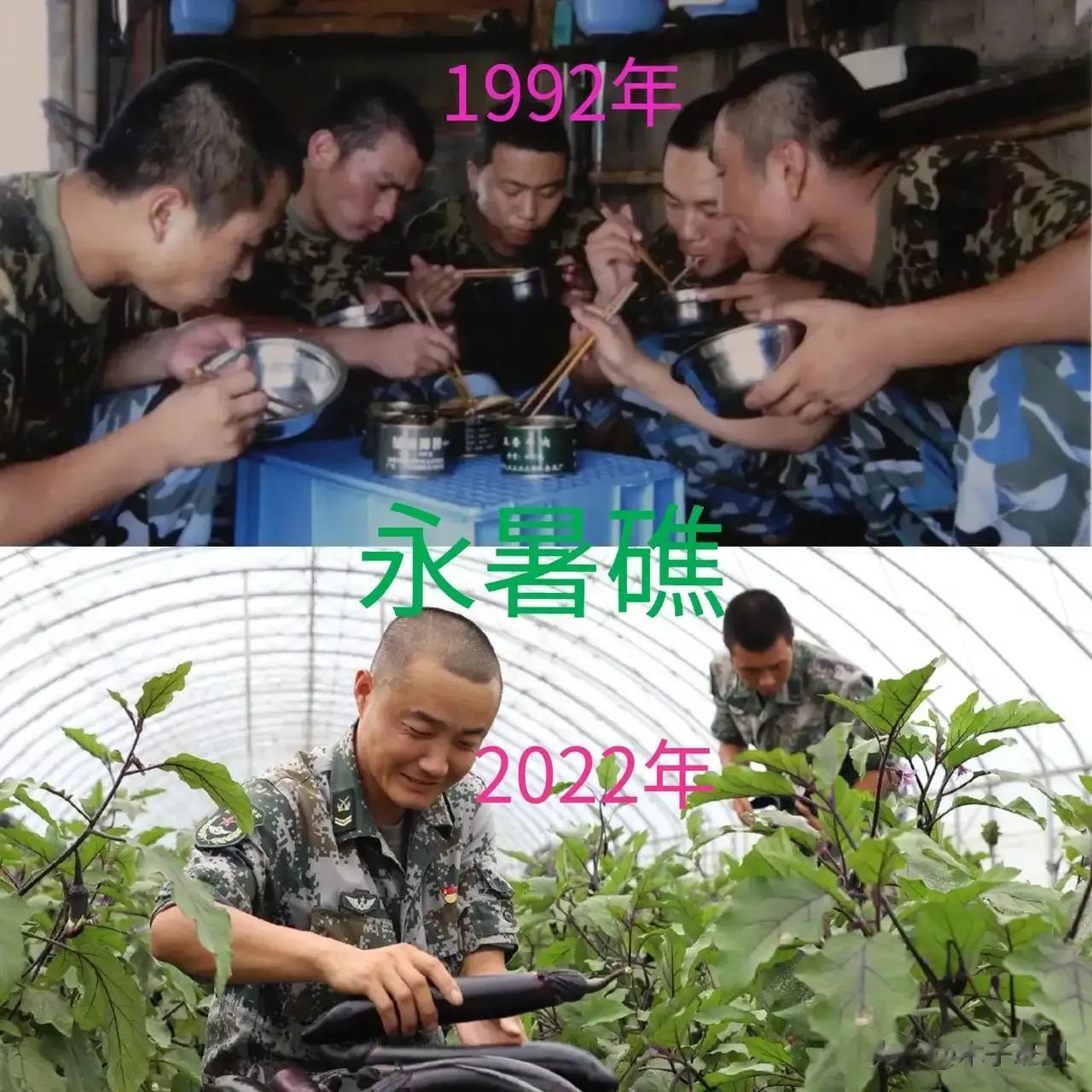 经过20年的发展，永暑岛上驻岛官兵，终于吃上自己种植的新鲜蔬菜，实现果蔬自由。我