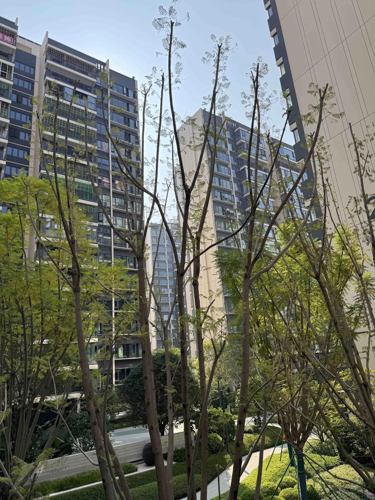 我有个朋友，在2019年楼市非常火爆的时候，把自己住的房子卖掉了！当时，新区开发