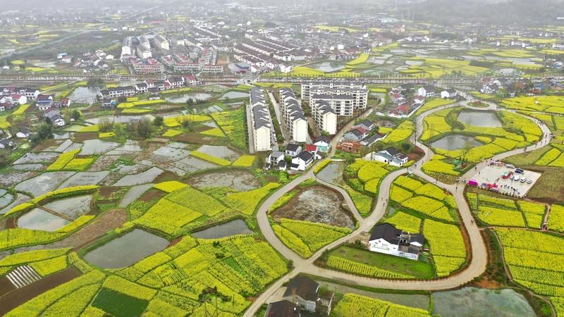 记录我的2026 2026年的3月9日，开启了一段难忘之旅。从西乡县枣园村前往勉