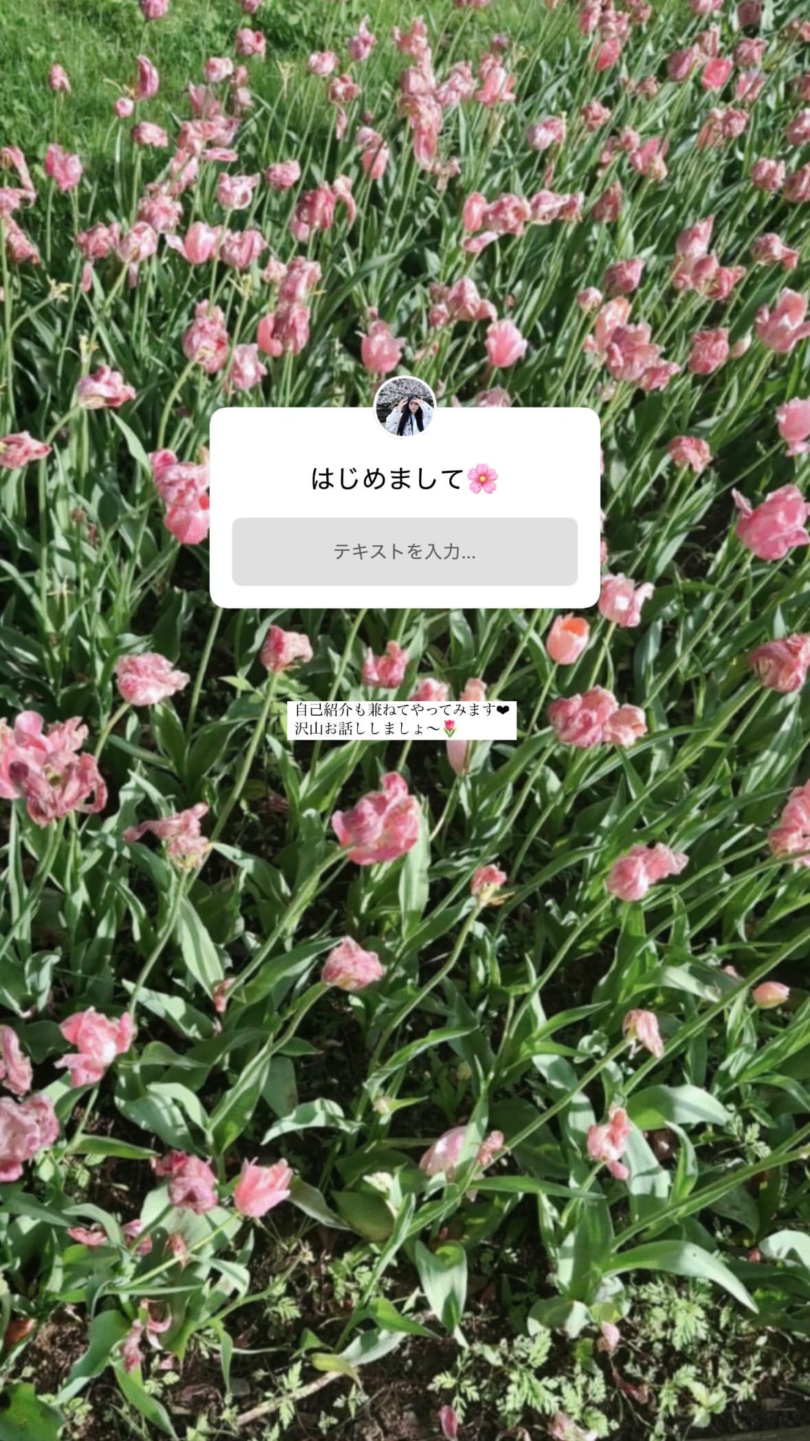 川﨑桜 ​​​