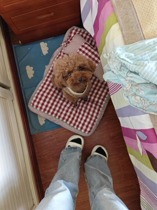 耳朵飞起来咯~
