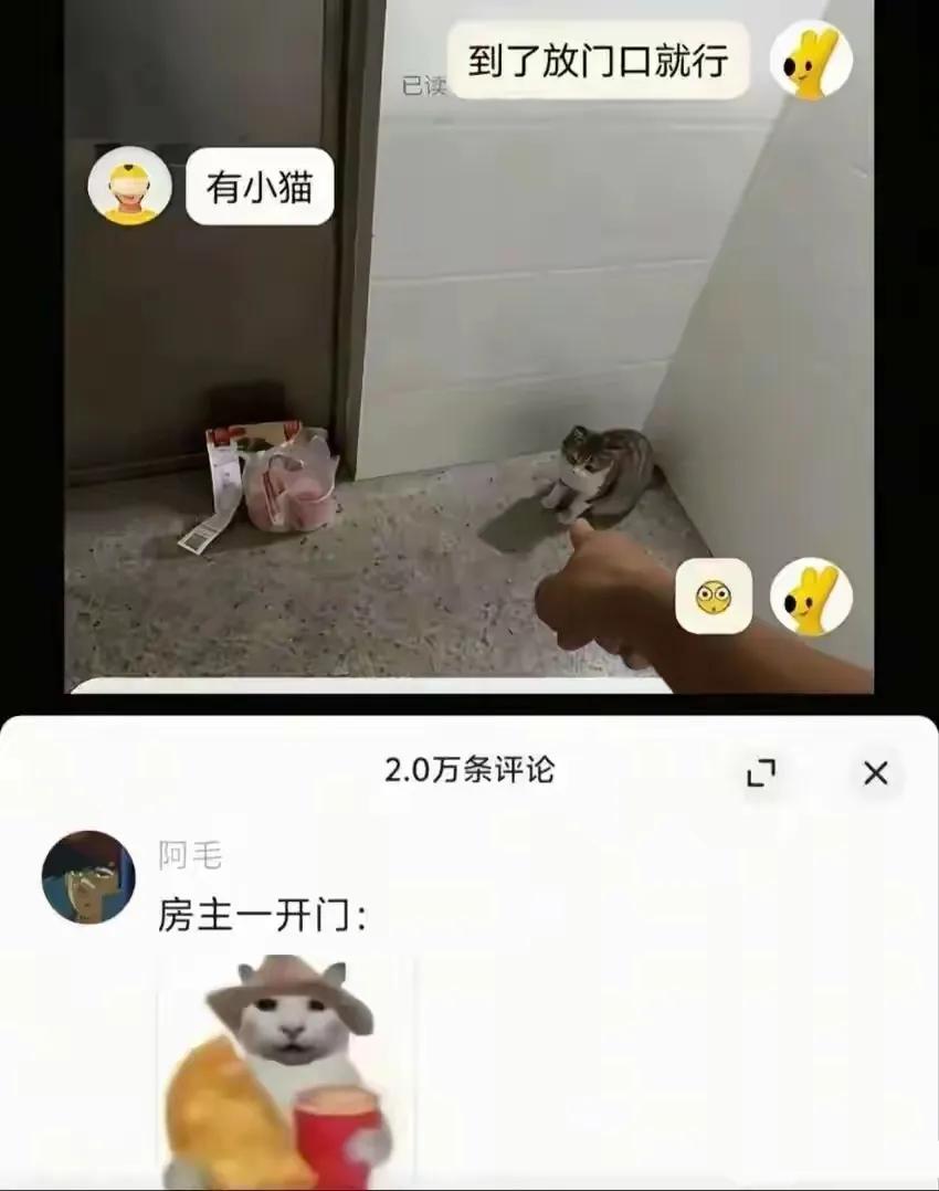 哈哈，房主开门是这样的[笑哭]