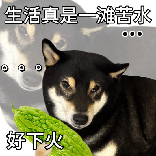 表情包|妈妈 这就是我的健康生活🤡