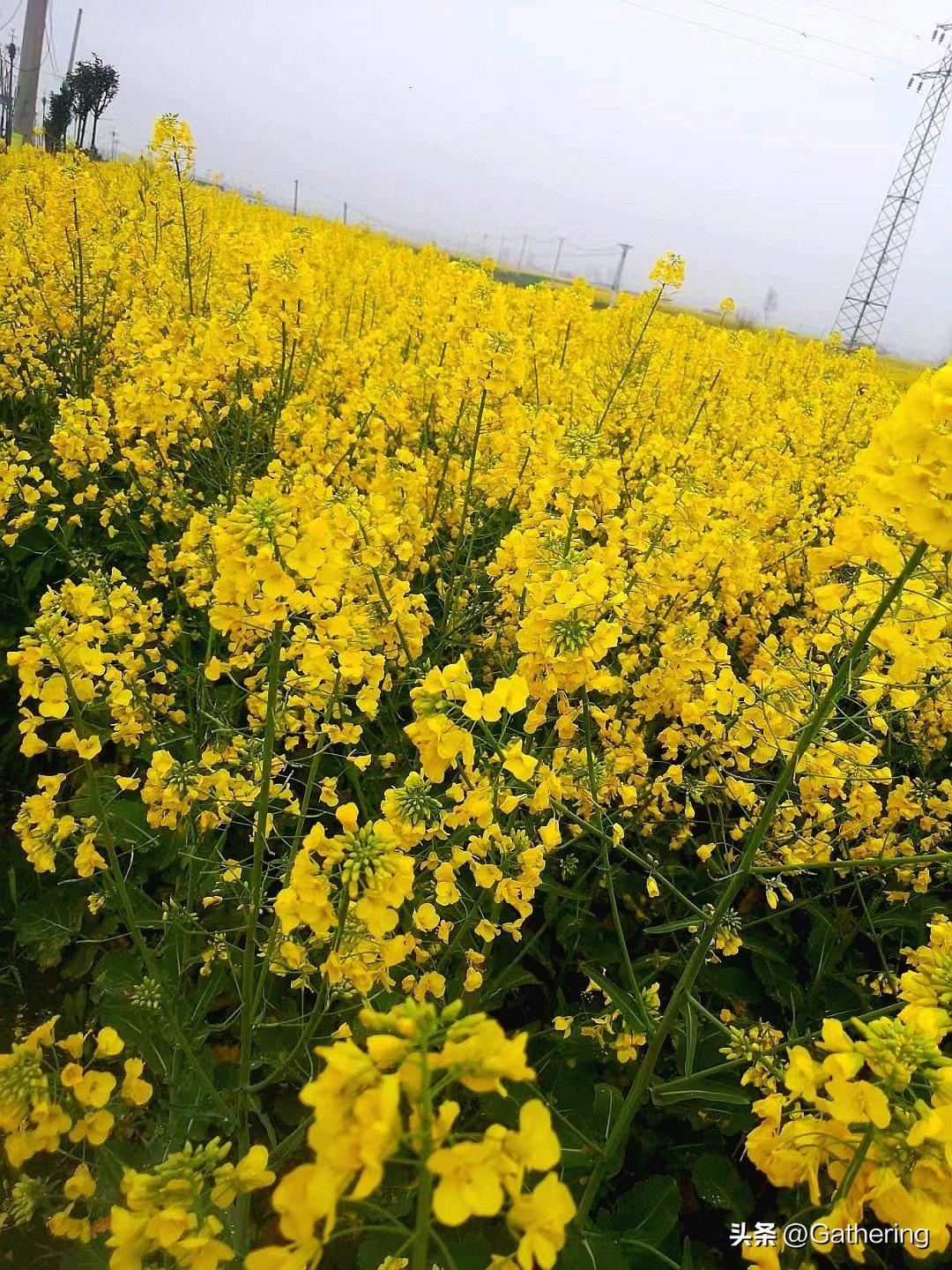 这场战争现在越来越觉得老美会输了！
美国的制度信任已经转不动了，这是不可争议的事