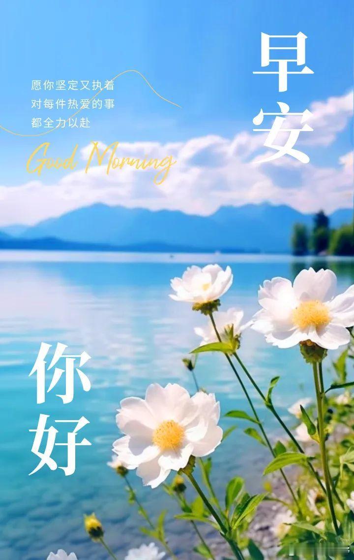 早上好，宝们！点赞打卡养成金粉体质新的一周，新的起航，评论区见真章！ 