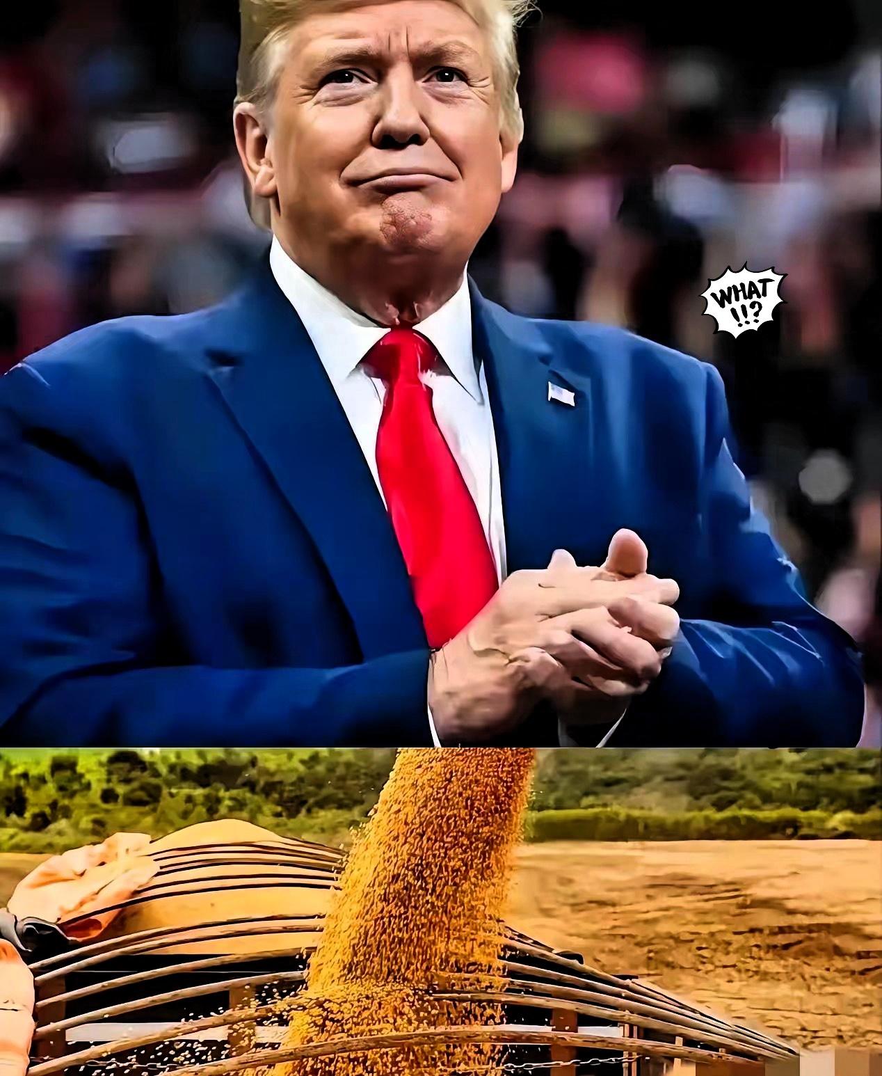 果真被大家猜对了，
18万吨大豆刚交易成功，
特朗普就在社交媒体上发声称这与芬太