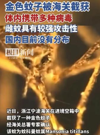 又是美国，又是病毒，这次不是实验室，是一整船 “带毒蚊子” 直接开到中国宁波！